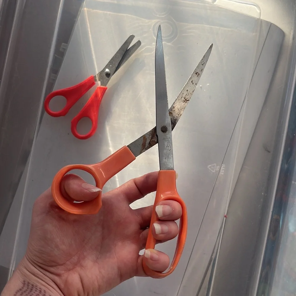 Scissors - Picture 5 of 6